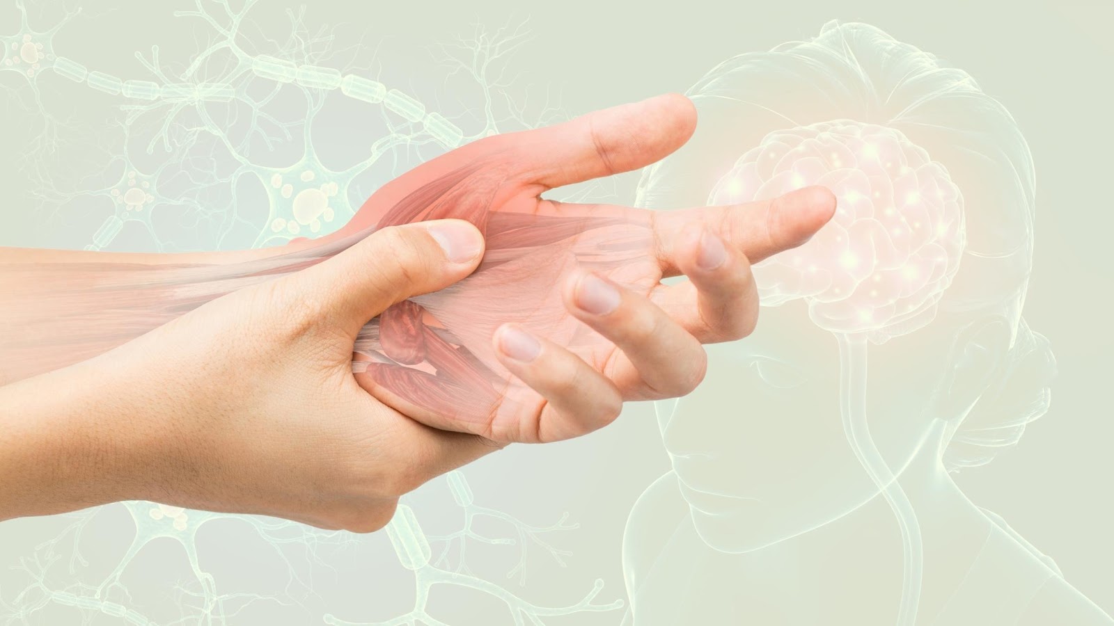 The Science Behind Nerve Damage and How to Prevent It with Nerve Boosters